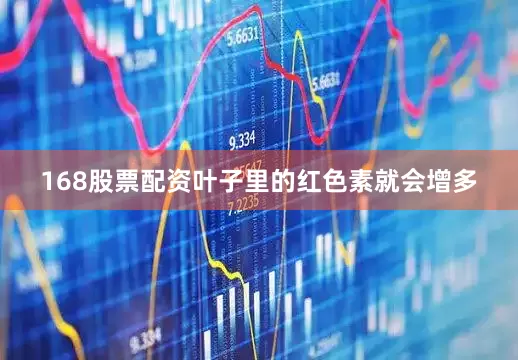 168股票配资叶子里的红色素就会增多