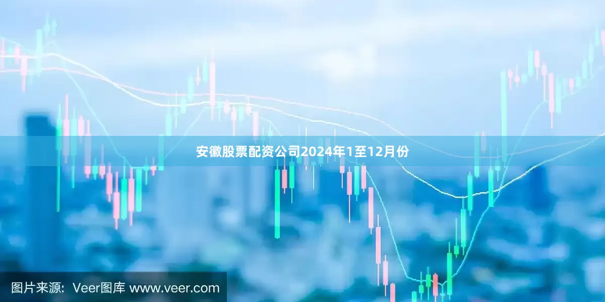 安徽股票配资公司　　2024年1至12月份