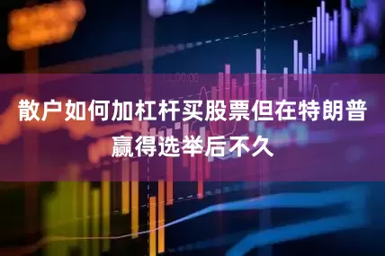 散户如何加杠杆买股票但在特朗普赢得选举后不久