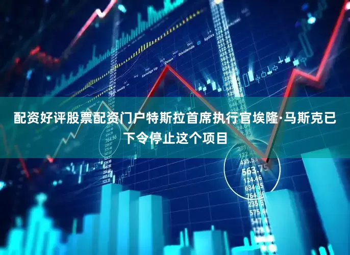 配资好评股票配资门户特斯拉首席执行官埃隆·马斯克已下令停止这个项目
