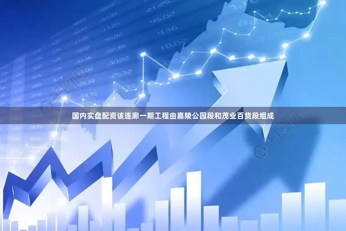 国内实盘配资该连廊一期工程由嘉陵公园段和茂业百货段组成