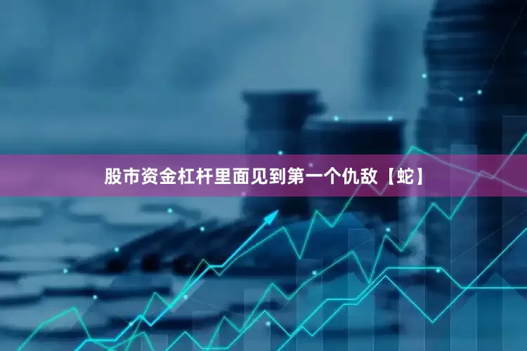 股市资金杠杆里面见到第一个仇敌【蛇】