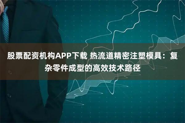 股票配资机构APP下载 热流道精密注塑模具：复杂零件成型的高效技术路径